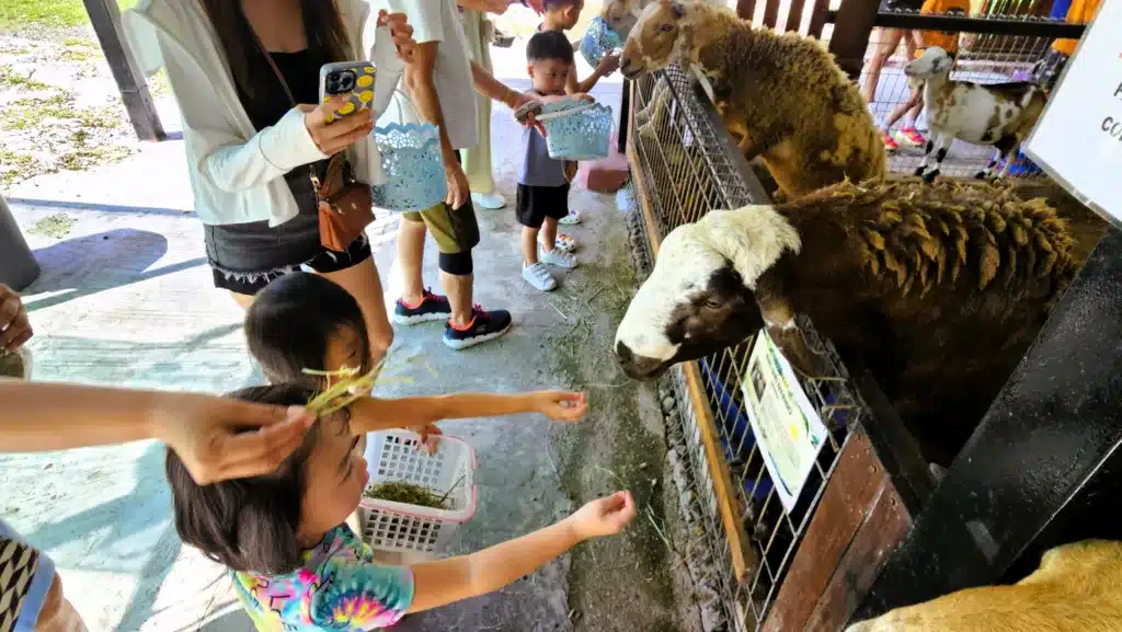 5D4N Ipoh: Unveiling Lost World of Tambun and Kid-Friendly Places 12