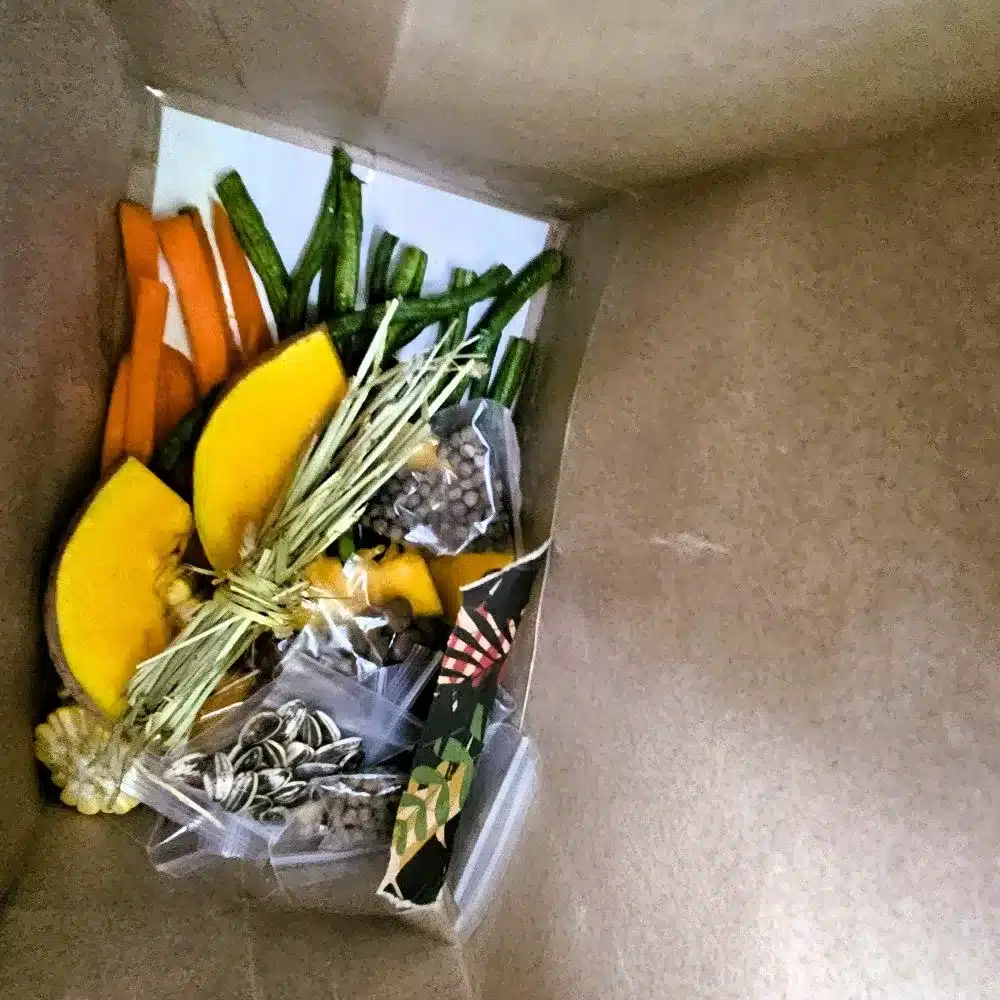 5D4N Ipoh: Unveiling Lost World of Tambun and Kid-Friendly Places 5