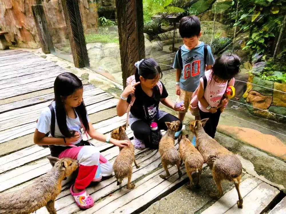 5D4N Ipoh: Unveiling Lost World of Tambun and Kid-Friendly Places 8