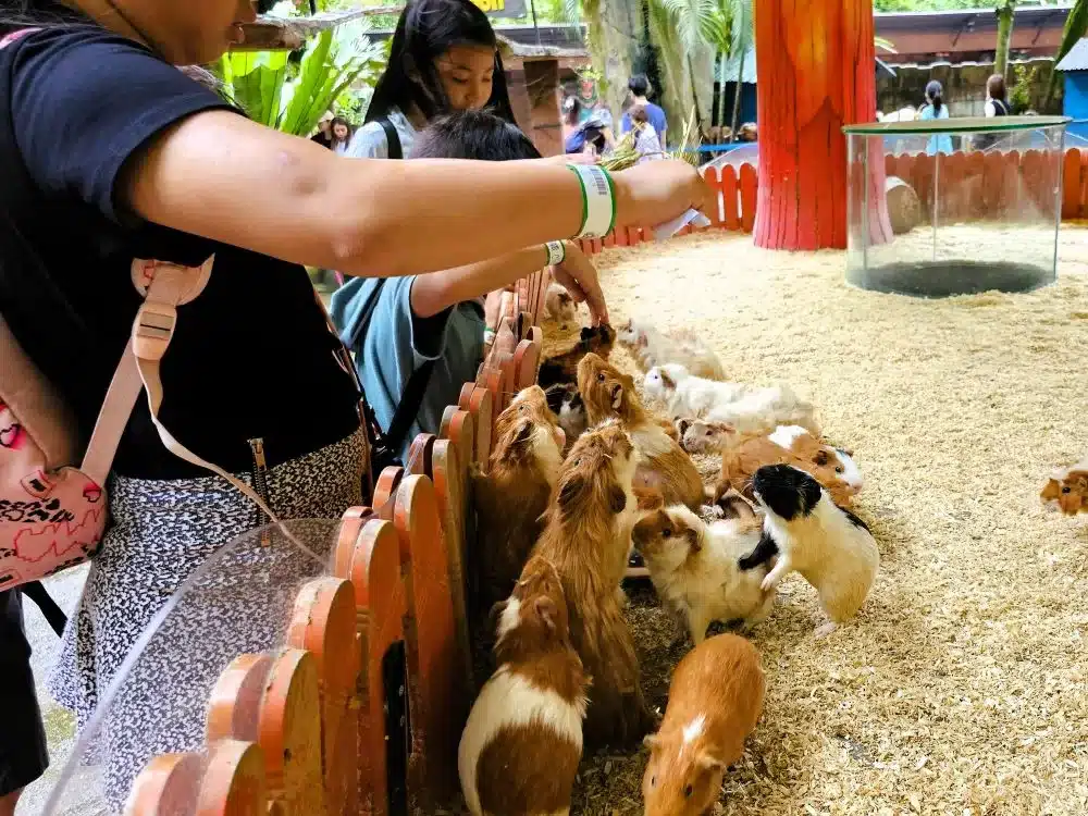 5D4N Ipoh: Unveiling Lost World of Tambun and Kid-Friendly Places 7