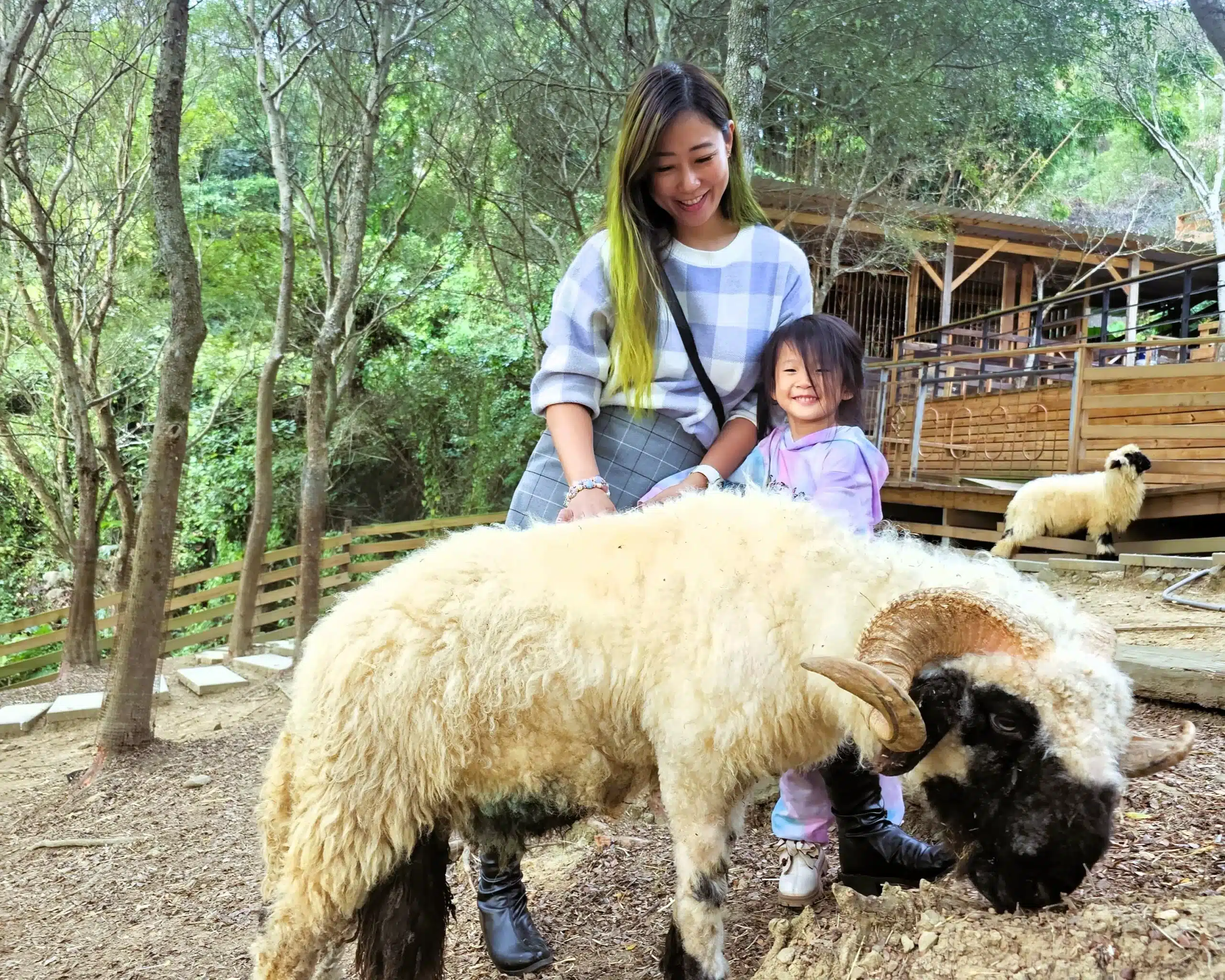 Family-friendly Attractions and Accommodations in Miaoli - Dahu 16