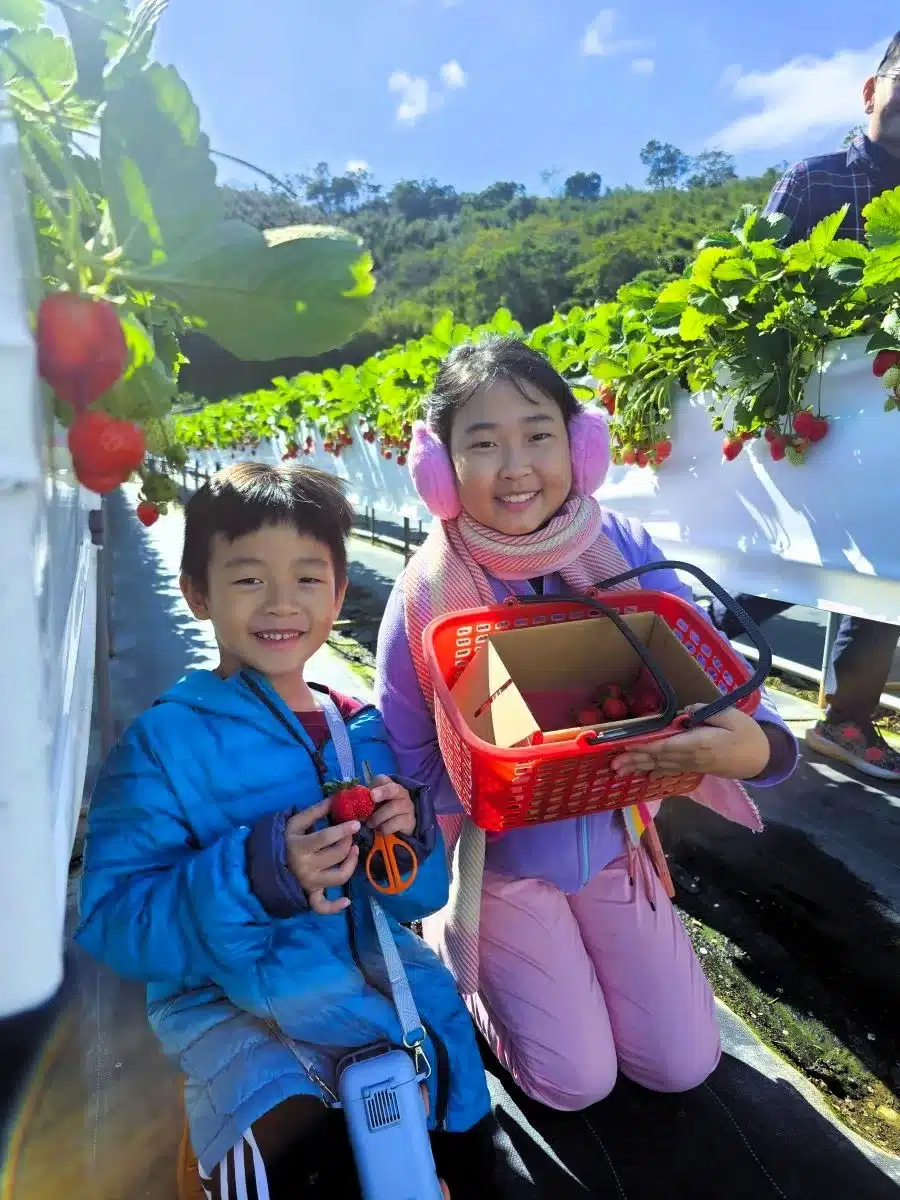 Family-friendly Attractions and Accommodations in Miaoli - Dahu 23