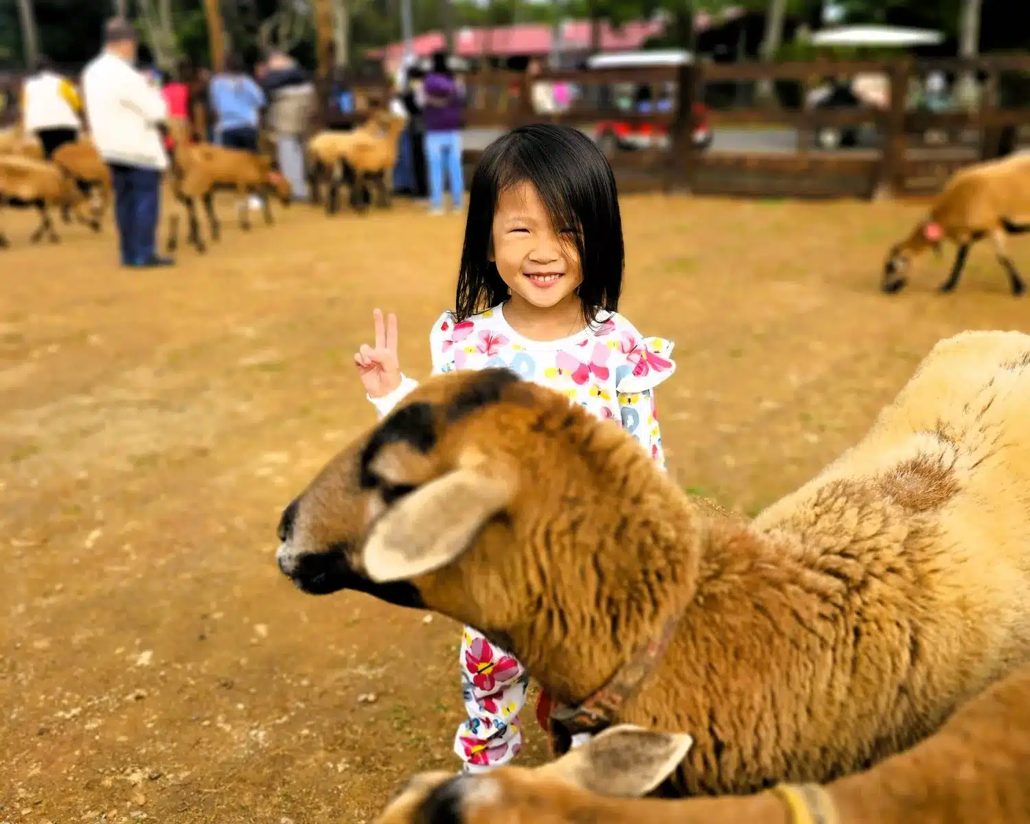 Family-friendly Attractions and Accommodations in Taoyuan 14