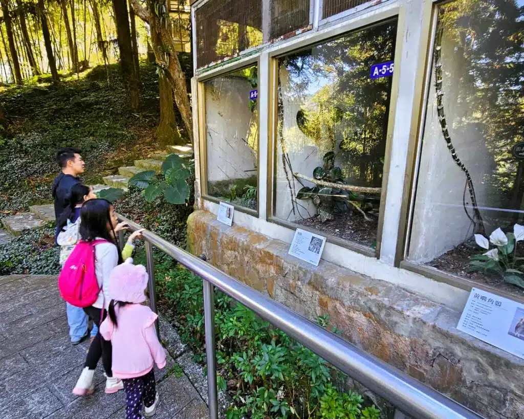 Family-friendly Attractions and Accommodations in Nantou - Puli 36