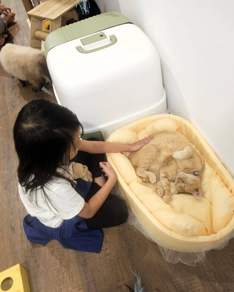 3D2N Penang Fishing And Penang Heritage Hotel Stay 26