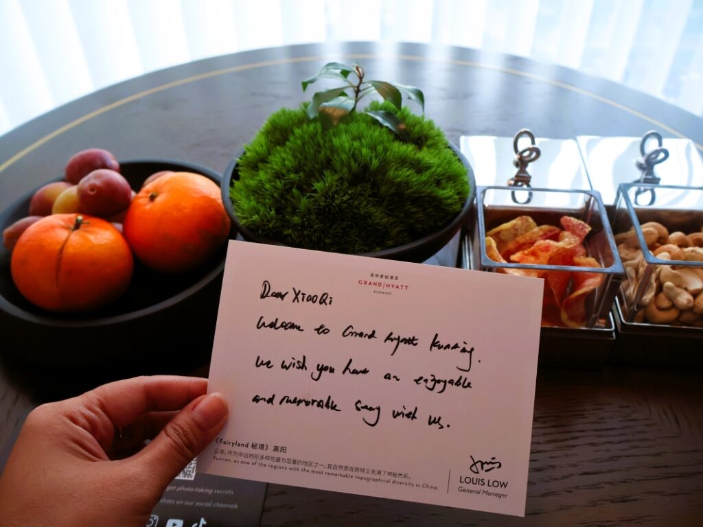 Grand Hyatt Kunming The Most Instagrammable Hotel In Yunnan Kunming 8